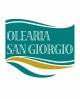 Olio Altanum IGP di Calabria extra vergine d’oliva - bottiglia 500 ml - Olearia San Giorgio